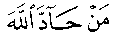 ���� ��������:22